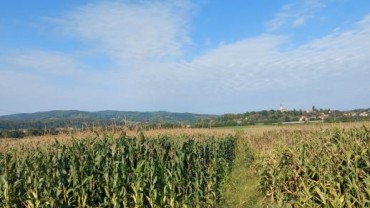 Poljoprivredno zemljište Tomaševec