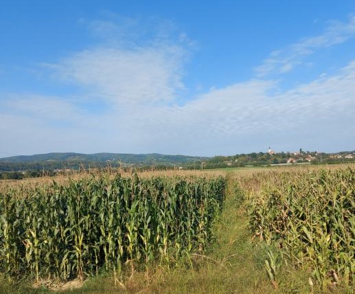 Poljoprivredno zemljište Tomaševec