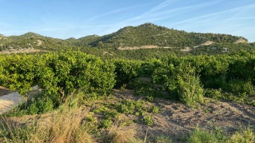 Poljoprivredno zemljište,suvlasništvo Vlaka, 10888 m2