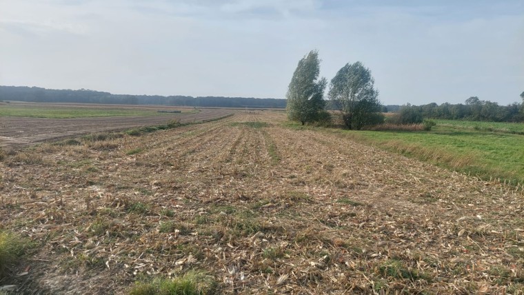 Poljoprivredno zemljište Draganec